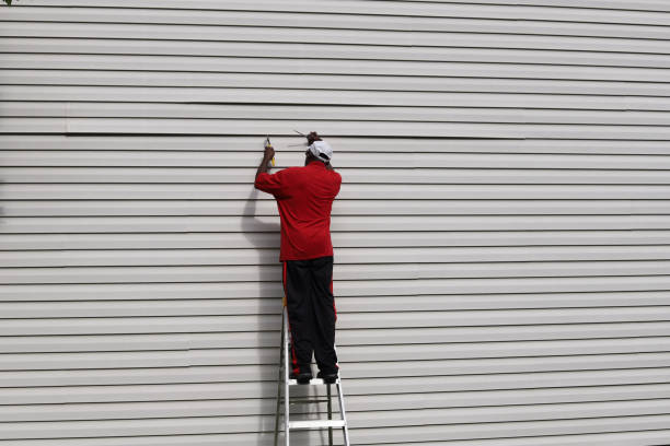 Best Siding for New Construction  in Tyndall, SD